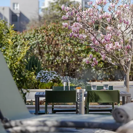 The Olive Poolhouse Apartament