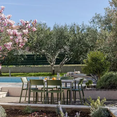 The Olive Poolhouse Appartement *